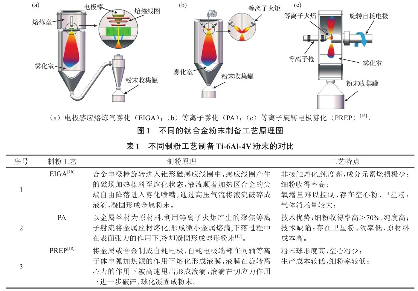 t1-b1.jpg