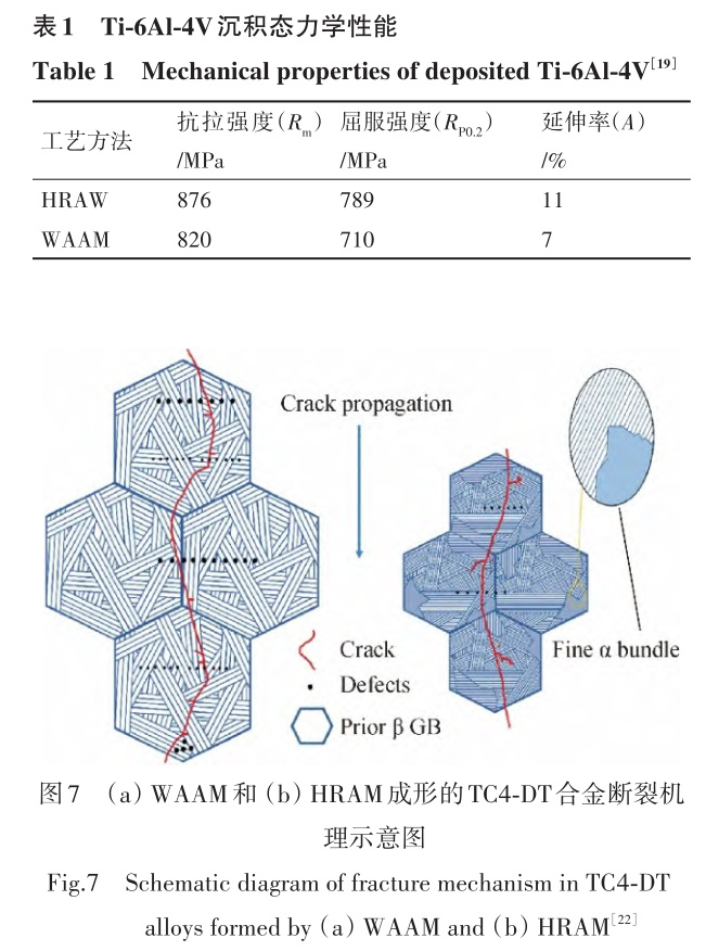 b1-t7.jpg